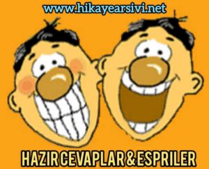 AKLI ÇIKMAK